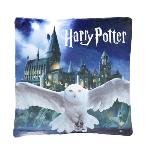 Aymax Harry Potter Kissen mit Tasche, 40 x 40 cm von Aymax