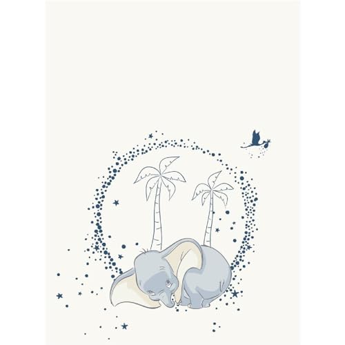 Aymax Disney Dumbo Flauschdecke Schmusedecke Kuscheldecke 110 x 150 cm von Aymax