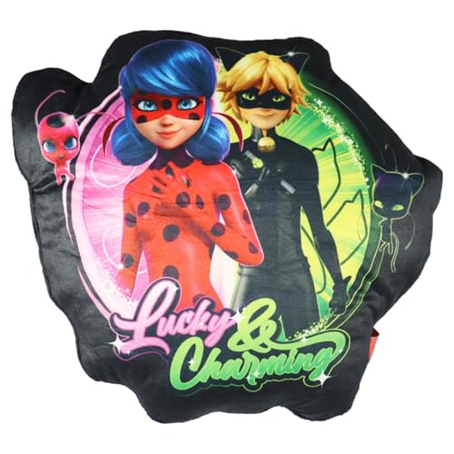 Aymax Miraculous Ladybug & Cat Noir 3D Mini Kissen 30x30 cm – Dekokissen aus Mikrofaser – Weiches Kinderkissen mit Superhelden-Motiv – Kuschelig & stylisch für Sofa, Reise oder Kinderzimmer von Aymax