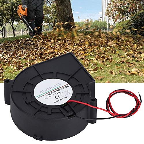 Double Ball Turbo Gebläse Lüfter Turbine Luftgebläse Lüfter für Picknick Camping Heizgeräte Grill, DC12V von AYNEFY