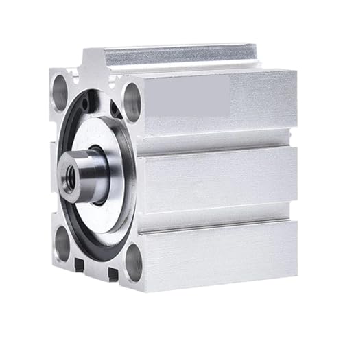 AYNRJKKX Kurzhubzylinder ADVC10 12 16 20 25 32 40 50 63 Ohne Magnetismus ADVC-20-15-P ADVC-40-10-AP ADVC-32-15-IP(ADVC-25) von AYNRJKKX