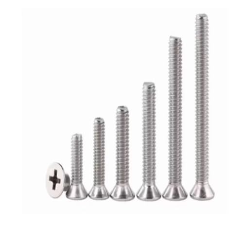 VNJUGF 10–100 Stück Kreuzschrauben M2 M2.5 M3 M4 316 Edelstahl Phillips Flachsenkkopfschraube Bolzen wanglan(M3x5-100PCS) von AYRTEGI