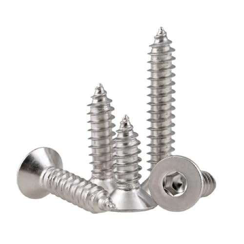 VNJUGF 5–50 Stück M2 M2.5M3 M3.5M4 M5 M6 M8 Edelstahl A2 Flachkopf-Innensechskant-Blechschraube wanglan(14MM_M2 50PCS) von AYRTEGI