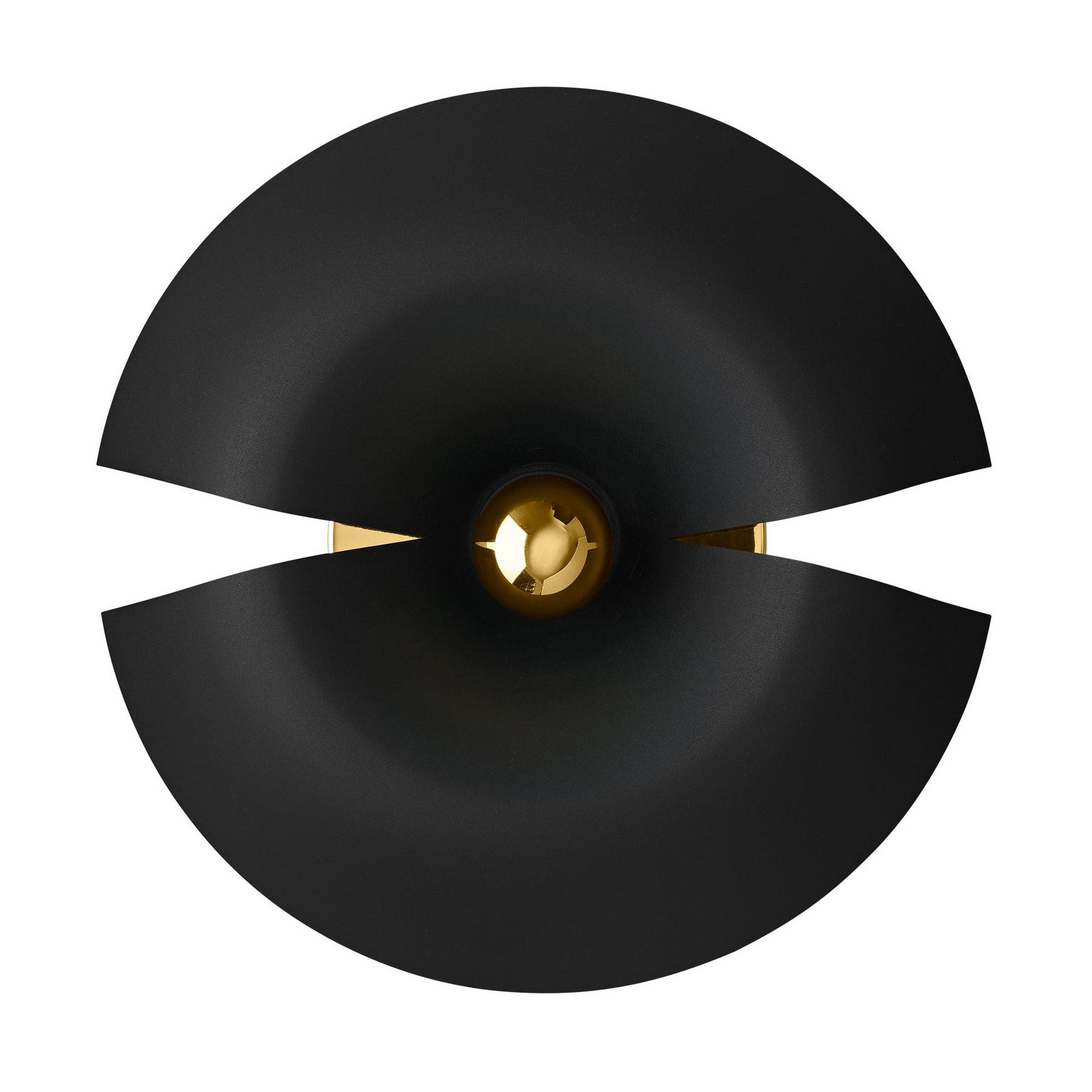 AYTM - Cycnus Wandleuchte - schwarz, gold/pulverbeschichtet/H 14cm x Ø 30cm von AYTM