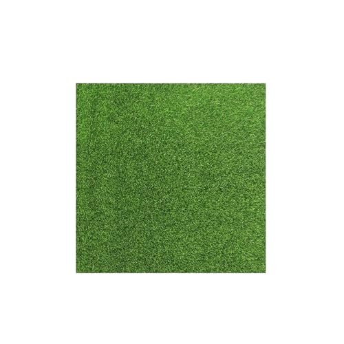AYWTIUN 2 STÜCKE Kunstrasen Outdoor Gartenarbeit Rasen Rasen Synthetische Gefälschte Gras Mikro-Landschaft DIY Beflockung Teppich für Rasen von AYWTIUN