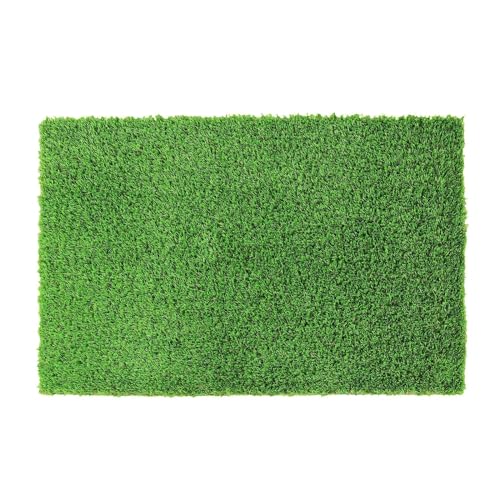 AYWTIUN Künstliche Grasmatte, Heimdekoration, grün, Kunstrasen, Rasen, for drinnen und draußen, Fußmatte, Veranda, Teppich für Rasen(Landscape Pro 20) von AYWTIUN