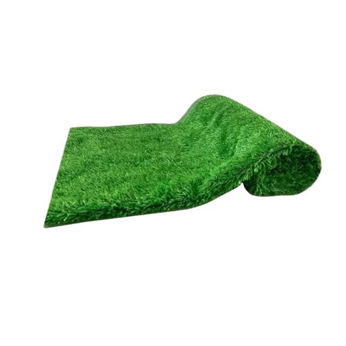 AYWTIUN Künstlicher Rasen, Mehrzweck-Kunstgras, DIY-Gartensimulation, Moos, Rasenmatten, Landschaftsgestaltung, Heimbodendekoration, Innen- und Außenbereich für Rasen(1x2m) von AYWTIUN