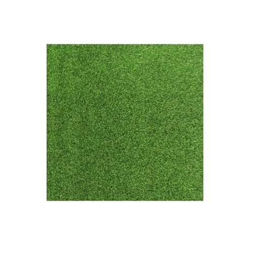 AYWTIUN Kunstrasen Gras Synthetisches Moos Simulation Gras Rolle Rasen Boden Gefälschte Rasen Outdoor Hinterhof Garten Dekoration Hause Ornament für Rasen(30x30cm) von AYWTIUN