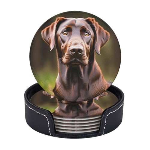Untersetzer mit braunem Labrador-Retriever-Druck, 6 Stück, Kaffeetassen, Tassen, Tischplatte, Zuhause, Büro, Esszimmer, Dekoration, leicht zu reinigen von AYYQWE