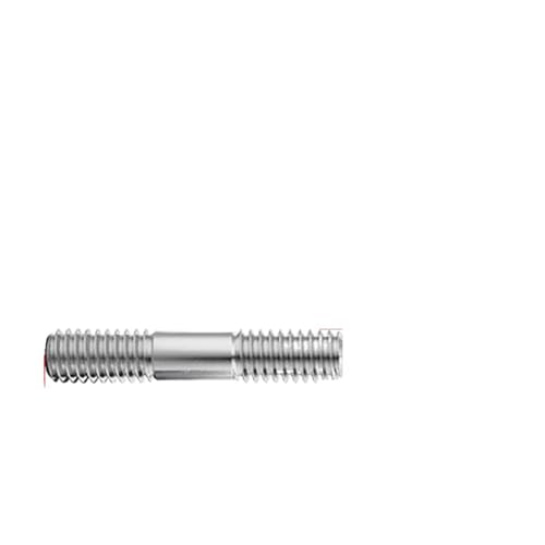 AYYSSM 304 SS Doppelkopfschraube, Mutter, Unterlegscheibe, Federscheibensatz M3-M10(5set M3x100) von AYYSSM