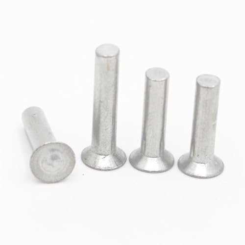 AYYSSM 5–50 Stück Senkkopf-Aluminium-Vollniete M2 M2.5 M3 M4 M5 M6 M8(M2.5 50pcs,4mm) von AYYSSM