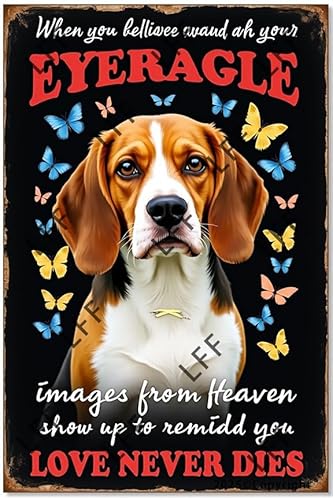 AYZYSMBM Vintage-Blechschild – Beagle Butterfly When You Believe Beyond What Your Eyes Can See – Wandkunst für Zuhause oder Büro Dekor Poster für Spirituelle – Metallschild 20,3 x 30,5 cm AYZYSMBM Vintage-Blechschild – Beagle Butterfly When You Believe Beyond What Your Eyes Can See – Wandkunst für Zuhause oder Büro Dekor Poster für Spirituelle – Metallschild 20,3 x 30,5 cm von AYZYSMBM