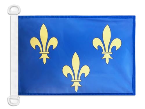 AZ FLAG BOOTFLAGGE Blume Gold- UND BLAULILIE 2 45x30cm - KÖNIGREICH Frankreich BOOTSFAHNE 30 x 45 cm Marine flaggen Top Qualität von AZ FLAG