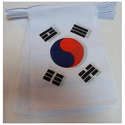 AZ FLAG FAHNENKETTE SÜDKOREA 6 Meter mit 20 flaggen 21x14cm - KOREANISCHE Girlande Flaggenkette 14 x 21 cm von AZ FLAG