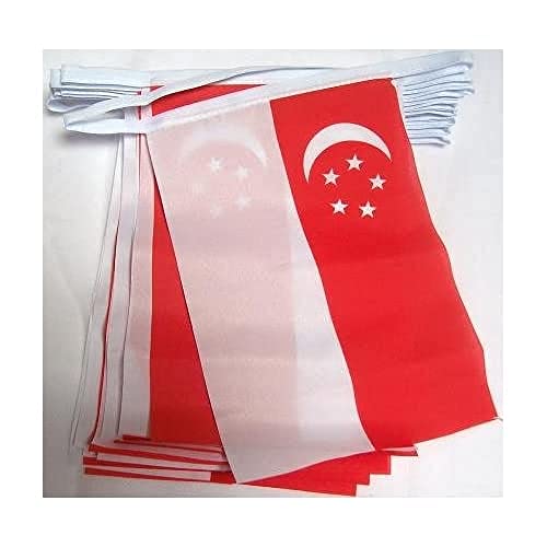 AZ FLAG FAHNENKETTE Singapur 6 Meter mit 20 flaggen 21x14cm - SINGAPURISCHE Girlande Flaggenkette 14 x 21 cm von AZ FLAG