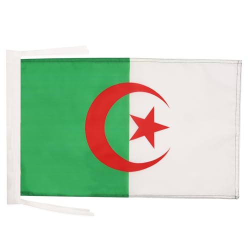 AZ FLAG Flagge ALGERIEN 45x30cm mit Kordel - ALGERISCHE Fahne 30 x 45 cm - flaggen Top Qualität von AZ FLAG