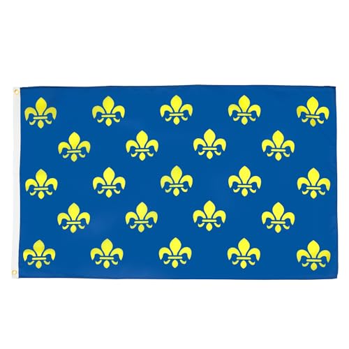 AZ FLAG Flagge Blume Gold- UND BLAULILIE 150x90cm - KÖNIGREICH Frankreich Fahne 90 x 150 cm - flaggen Top Qualität von AZ FLAG