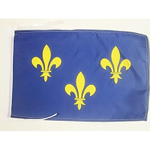 AZ FLAG Flagge Blume Gold- UND BLAULILIE 2 45x30cm mit Kordel - KÖNIGREICH Frankreich Fahne 30 x 45 cm - flaggen Top Qualität von AZ FLAG