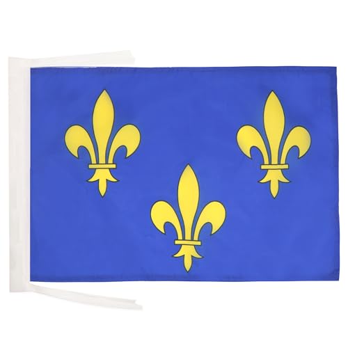 AZ FLAG Flagge Blume Gold- UND BLAULILIE 2 45x30cm mit Kordel - KÖNIGREICH Frankreich Fahne 30 x 45 cm - flaggen Top Qualität von AZ FLAG