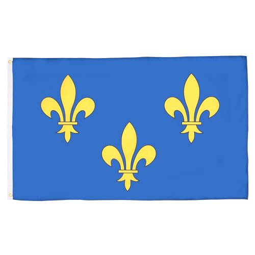 AZ FLAG Flagge Blume Gold- UND BLAULILIE 2 90x60cm - KÖNIGREICH Frankreich Fahne 60 x 90 cm - flaggen Top Qualität von AZ FLAG