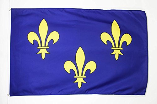 AZ FLAG Flagge Blume Gold- UND BLAULILIE 2 90x60cm - KÖNIGREICH Frankreich Fahne 60 x 90 cm - flaggen Top Qualität von AZ FLAG