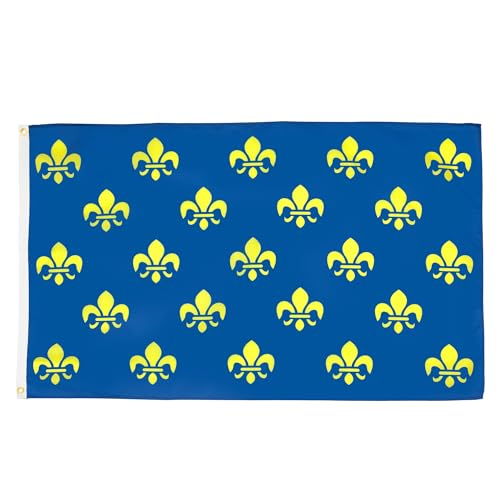 FLAGGE BLUME GOLD- UND BLAULILIE 90x60cm - KÖNIGREICH FRANKREICH FAHNE 60 x 90 cm - flaggen AZ FLAG Top Qualität von AZ FLAG