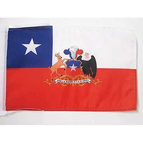 AZ FLAG - Flagge Chile Mit Waffen - 45x30 cm Mit Kordel - Chilenische Fahne 30 x 45 cm - Flaggen von AZ FLAG