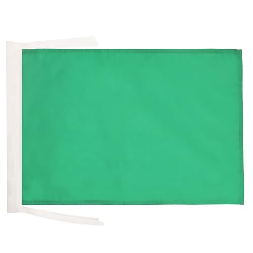 AZ FLAG - Flagge Einfarbig Grün - 45x30 cm Mit Kordel - Einfarbig Fahne 30 x 45 Cm - Flaggen von AZ FLAG