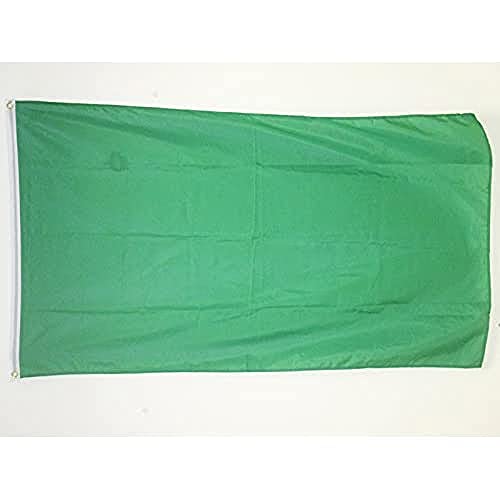 AZ FLAG - Flagge Einfarbig Grün - 90x60 cm - Einfarbig Fahne 100% Polyester mit Messing-Ösen - 50g von AZ FLAG