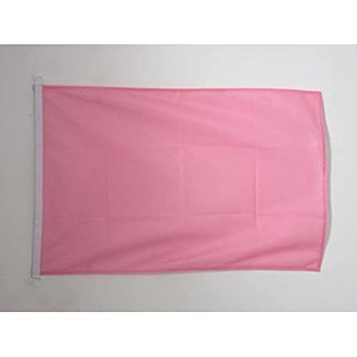 AZ FLAG Flagge EINFARBIG ROSA 90x60cm - EINFARBIG Fahne 60 x 90 cm Aussenverwendung - flaggen Top Qualität von AZ FLAG