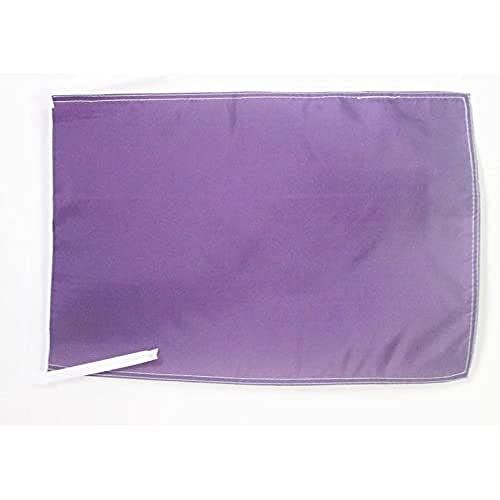 AZ FLAG Flagge EINFARBIG VIOLETT 45x30cm mit Kordel - EINFARBIG Fahne 30 x 45 cm - flaggen Top Qualität von AZ FLAG