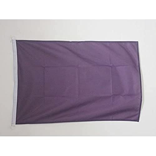 AZ FLAG Flagge EINFARBIG VIOLETT 90x60cm - EINFARBIG Fahne 60 x 90 cm Aussenverwendung - flaggen Top Qualität von AZ FLAG