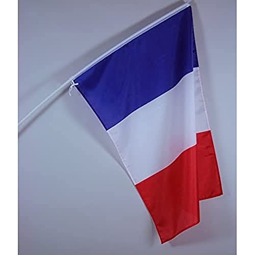 AZ FLAG Flagge Frankreich 150x90cm mit mast - 10 stück FRANZÖSISCHE Fahne 90 x 150 cm - flaggen von AZ FLAG