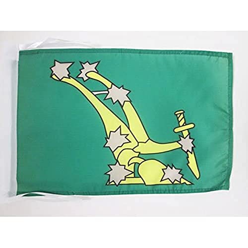 AZ FLAG - Flagge Irland Starry Plough Grün - 45x30 cm Mit Kordel - Irische Fahne 30 x 45 cm - Flaggen von AZ FLAG
