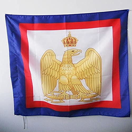 AZ FLAG Flagge Napoleon Bonaparte 90x90cm - Kaiser Napoleon I. Fahne 90 x 90 cm Scheide für Mast - flaggen Top Qualität von AZ FLAG