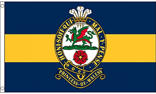 AZ FLAG - Flagge Princess Of Wales'S Royal Regiment - 150x90 cm - Walisische Army Fahne 100% Polyester mit Messing-Ösen - 110g AZ FLAG - Flagge Princess Of Wales'S Royal Regiment - 150x90 cm - Walisische Army Fahne 100% Polyester mit Messing-Ösen - 110g von AZ FLAG