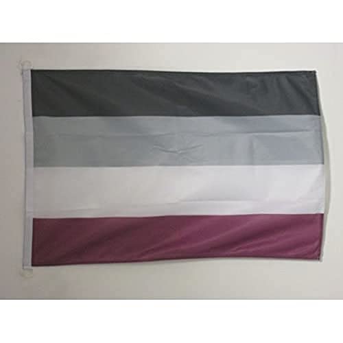AZ FLAG Flagge Regenbogen GESCHLECHTSLOSER 90x60cm - ASEXUALITÄT Fahne 60 x 90 cm Aussenverwendung - flaggen Top Qualität von AZ FLAG