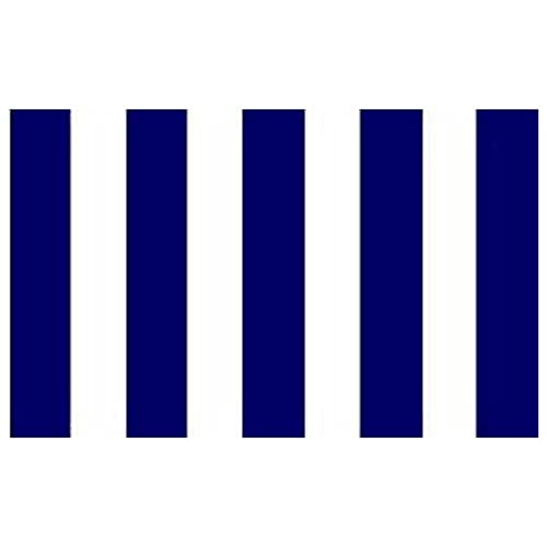 Hochwertige Flagge mit Ösen, 90 x 60 cm, Blau/Weiß von AZ FLAG