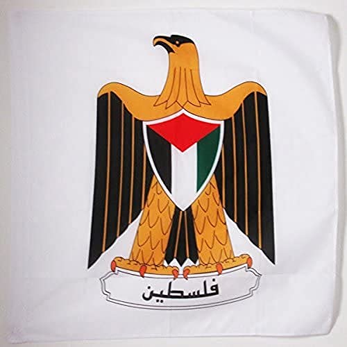 AZ FLAG - Flagge Wappen Von Palästina - 90x90 cm - Palästinensische Fahne 90 x 90 Cm Scheide Für Mast - Flaggen AZ FLAG - Flagge Wappen Von Palästina - 90x90 cm - Palästinensische Fahne 90 x 90 Cm Scheide Für Mast - Flaggen von AZ FLAG