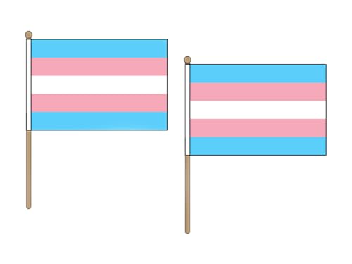 STOCKFLAGGE REGENBOGEN TRANSGENDER 45x30cm mit holzmast - 10 stück INTERSEXUELLE STOCKFAHNE 30 x 45 cm - flaggen AZ FLAG von AZ FLAG