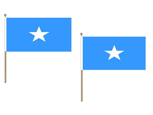 AZ FLAG STOCKFLAGGE Somalia 45x30cm mit holzmast - 10 stück Bundesrepublik Somalia STOCKFAHNE 30 x 45 cm - flaggen von AZ FLAG