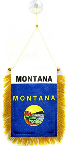 AZ FLAG Wimpel Montana 15x10cm - Bundesstaat Montana Mini Flagge 10 x 15 cm - Auto Pennant spezielle Auto von AZ FLAG