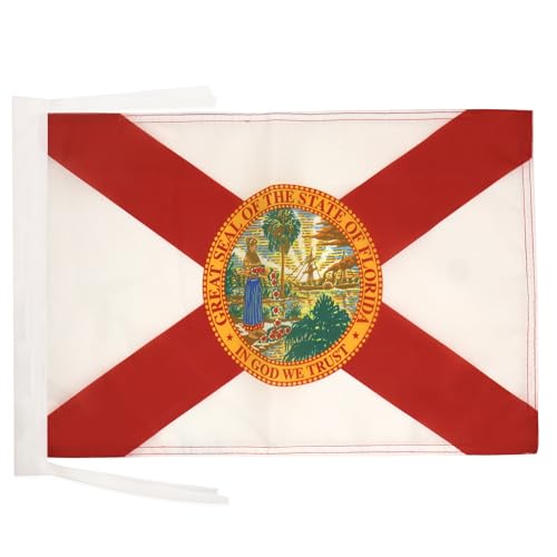 AZ FLAG - Flagge Florida - 45x30 cm Mit Kordel - Bundesstaat Florida Fahne 30 x 45 cm - Flaggen von AZ FLAG