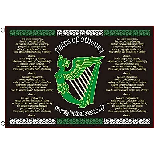 AZ FLAG Flagge Irland The Fields of ATHENRY 150x90cm - IRISCHE Fahne 90 x 150 cm - flaggen Top Qualität von AZ FLAG