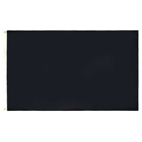 AZ FLAG - Flagge Einfarbig Schwarz - 150x90 cm - Einfarbig Fahne 100% Polyester mit Messing-Ösen - 110g von AZ FLAG