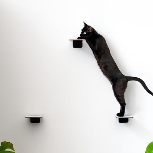 AZANO® Katzentreppe 3er Set | Kletterwand Katzen | Katzenleiter Wand [Modernes Design aus Metall] | Katzentreppe Wand | Katzenleiter | Katzenmöbel zum Klettern | S 16x12cm| (Schwarz - Kork) von AZANO