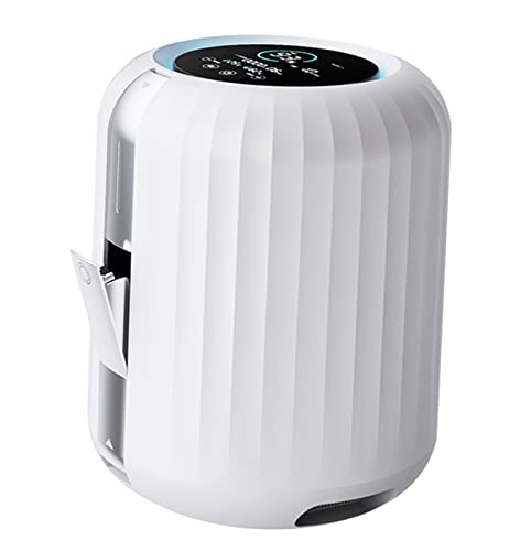 Tragbarer Sauerstoffkonzentrator, All-in-One-Sauerstoff Zerstäubung Maschine, 1 L/min einstellbare Sauerstoffmaschine für den Heim-, Reise- und Fahrzeuggebrauch.,ZYBYW von AZHANGU