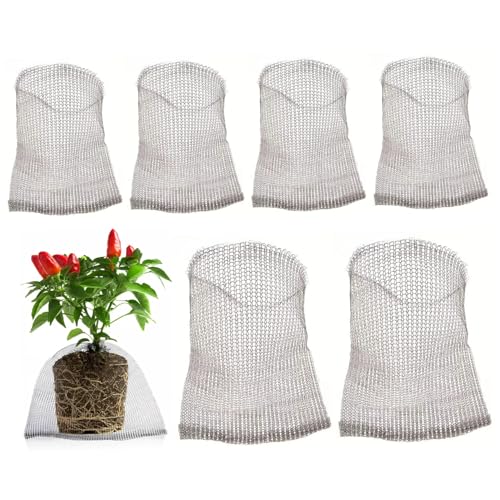 6pcs Gopher Körbe, 24x24 Edelstahl Atmungsaktivem Drahtgitterkorb, Insektensicher und rostfeste Obstschutzbeutel für pflanzliche Fruchtblütenschutzbeutel 6pcs Gopher Körbe, 24x24 Edelstahl Atmungsaktivem Drahtgitterkorb, Insektensicher und rostfeste Obstschutzbeutel für pflanzliche Fruchtblütenschutzbeutel von AZIDWERYQ