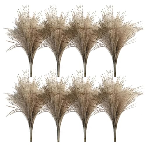 Getrocknete Schilfpampa -Gräser Phragmiten Real Kleiner Zierpolster natürlicher Pflanzen für Hochzeits Heimdekoration 50pcs getrocknete Pampas Gräser von AZIDWERYQ