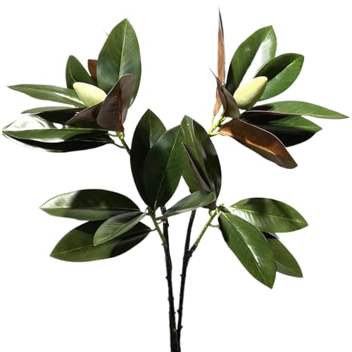 Magnolienblätter, 2pcs 35 Zoll Kunststoff Kunstmagnolienblätter Stängel, lebensechte echte Touch -Faux -Zweige für Vase Home Tischdekoration Stiele von AZIDWERYQ